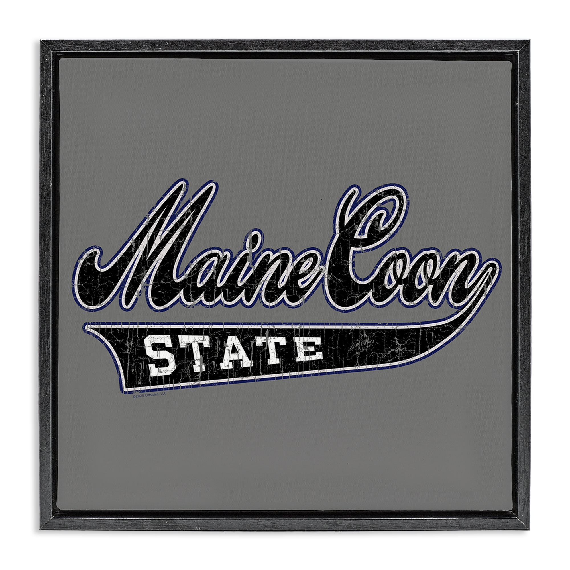 Stupell Industries Varsity Maine Coon State Novelty & Humor Painting Black Floater Framed Canvas Art Print Wall Art, 18 x 18