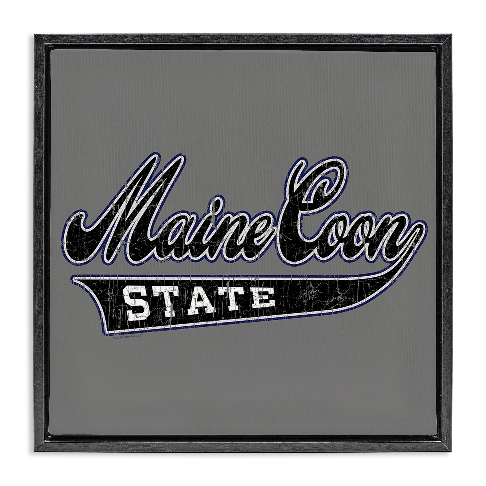 Stupell Industries Varsity Maine Coon State Novelty & Humor Painting Black Floater Framed Canvas Art Print Wall Art, 25 x 25