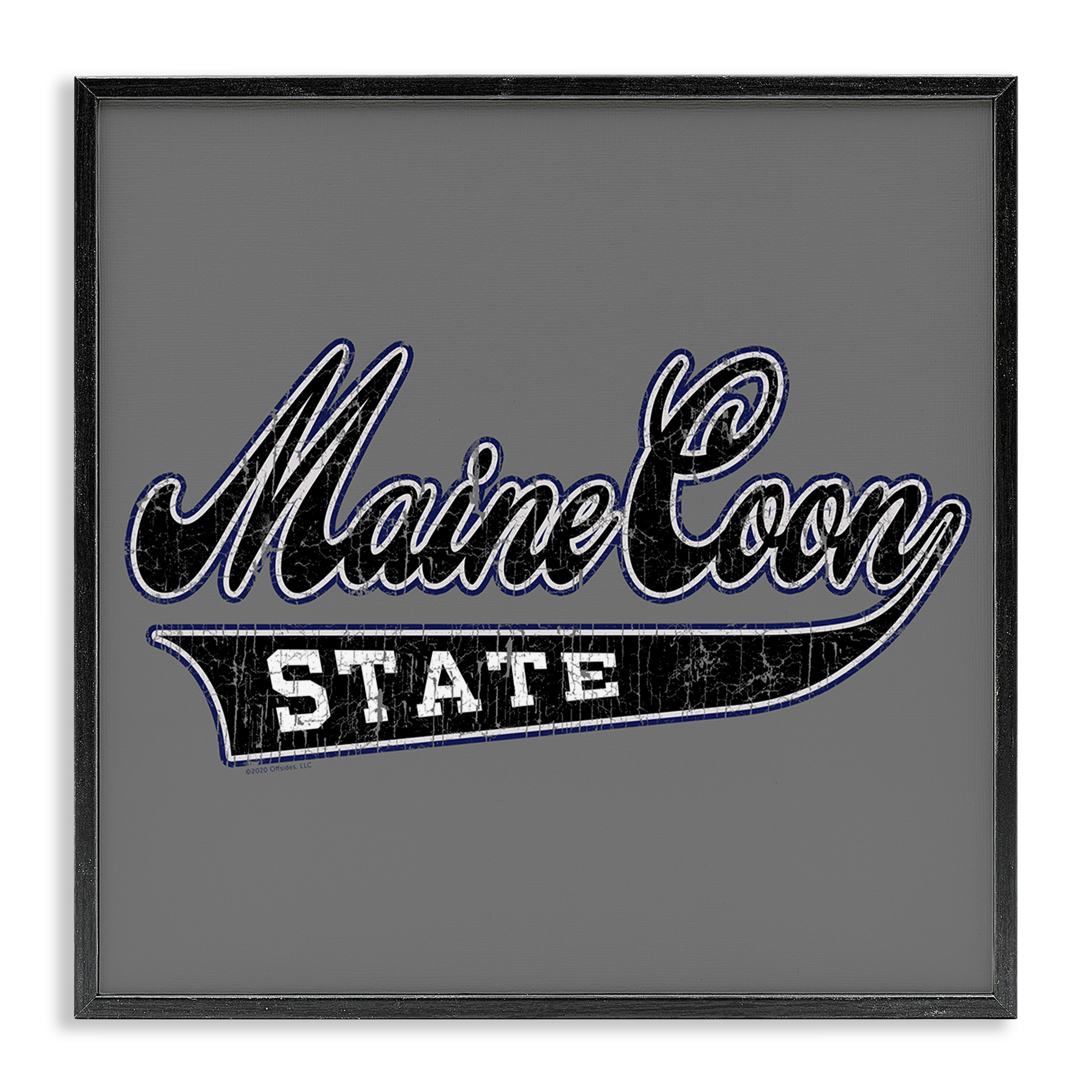 Stupell Industries Varsity Maine Coon State Novelty & Humor Painting Black Framed Art Print Wall Art, 17 x 17
