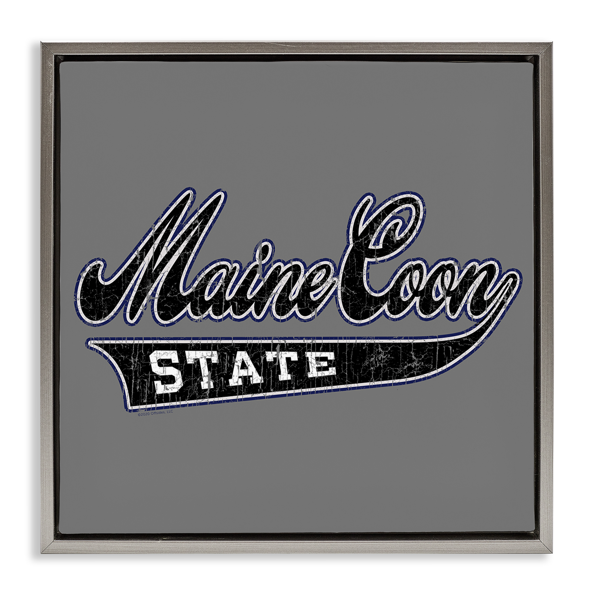Stupell Industries Varsity Maine Coon State Novelty & Humor Painting Gray Floater Framed Canvas Art Print Wall Art, 18 x 18