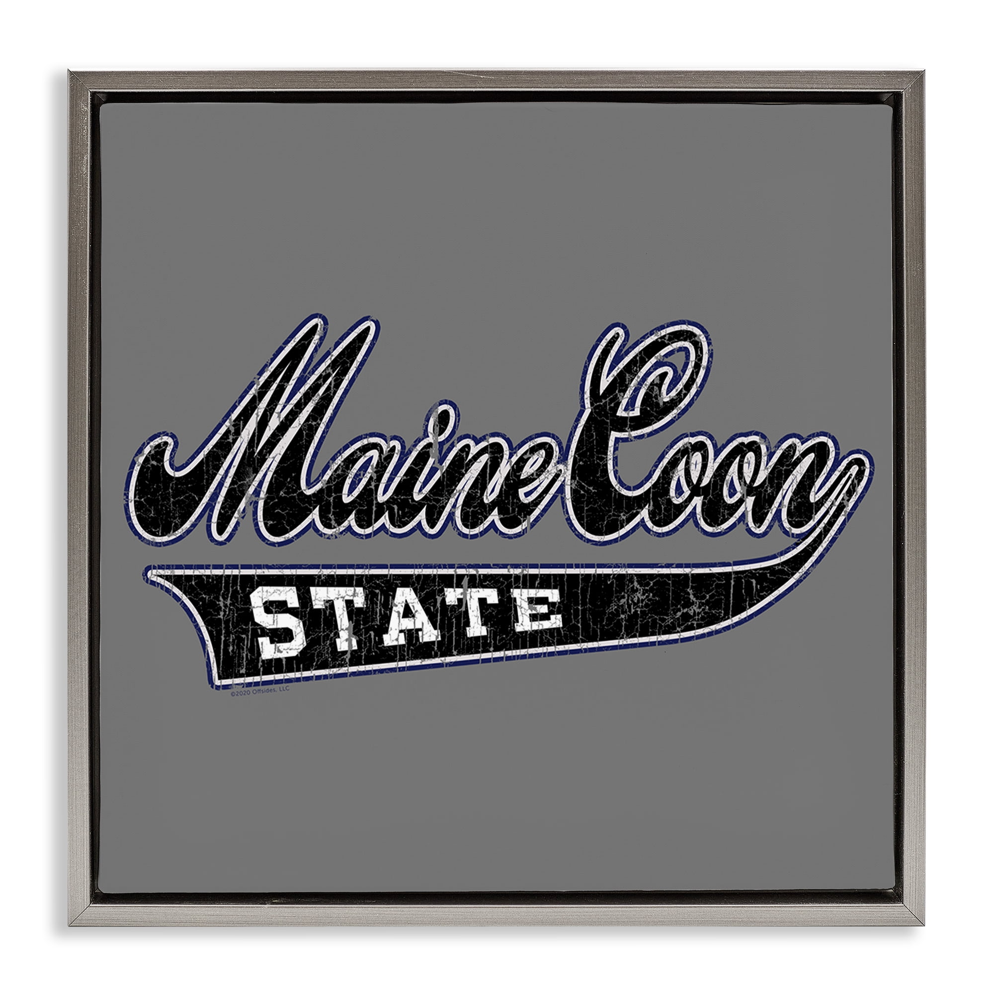 Stupell Industries Varsity Maine Coon State Novelty & Humor Painting Gray Floater Framed Canvas Art Print Wall Art, 25 x 25