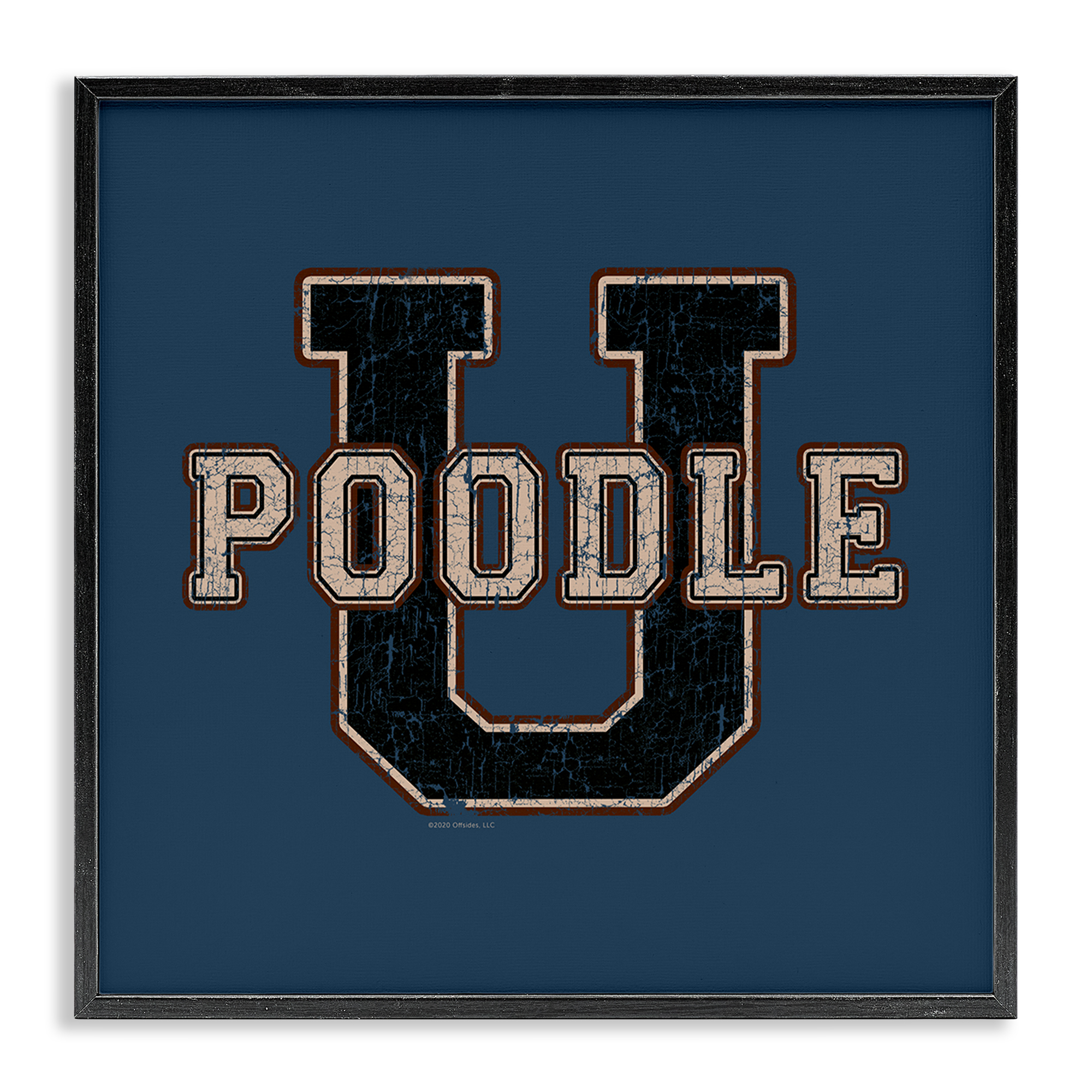 Stupell Industries Varsity Poodle U Novelty & Humor Painting Black Framed Art Print Wall Art, 12 x 12