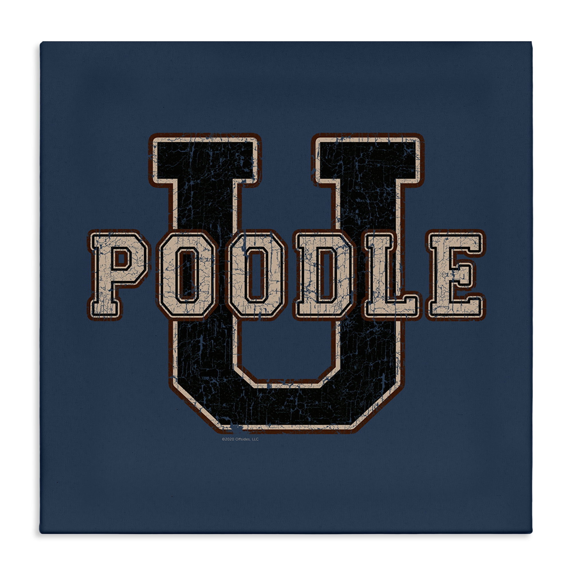 Stupell Industries Varsity Poodle U Novelty & Humor Painting Wrapped Canvas Art Print Wall Art, 36 x 36