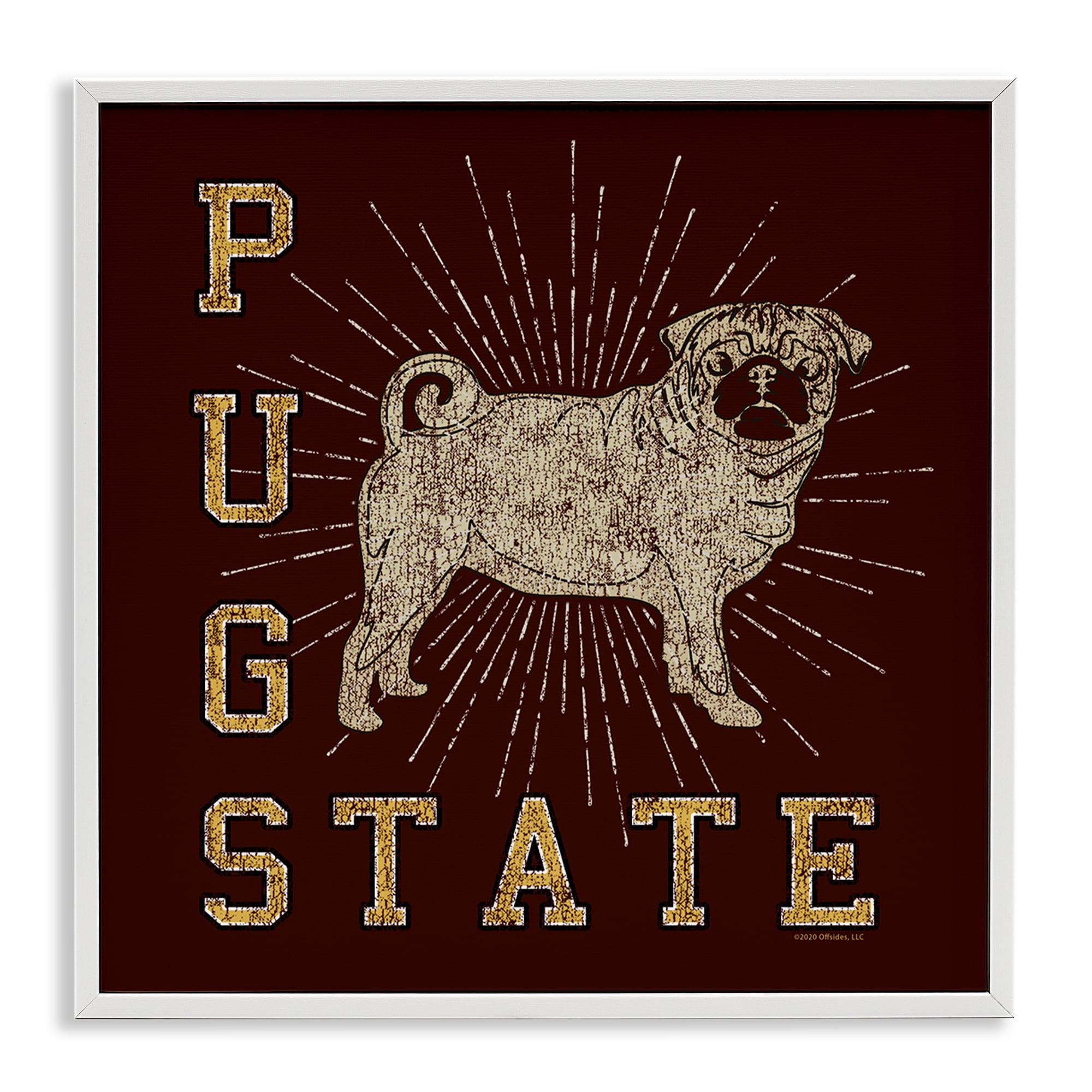 Stupell Industries Varsity Pug State Novelty & Humor Painting White Framed Art Print Wall Art, 24 x 24