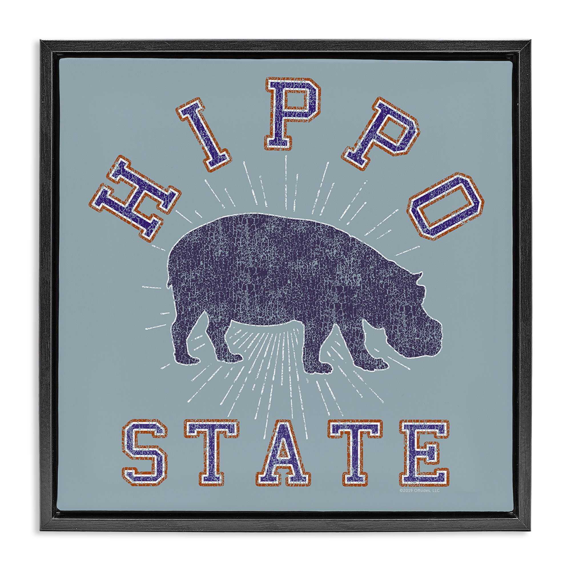 Stupell Industries Varsity Style Hippo State Novelty & Humor Painting Black Floater Framed Canvas Art Print Wall Art, 25 x 25