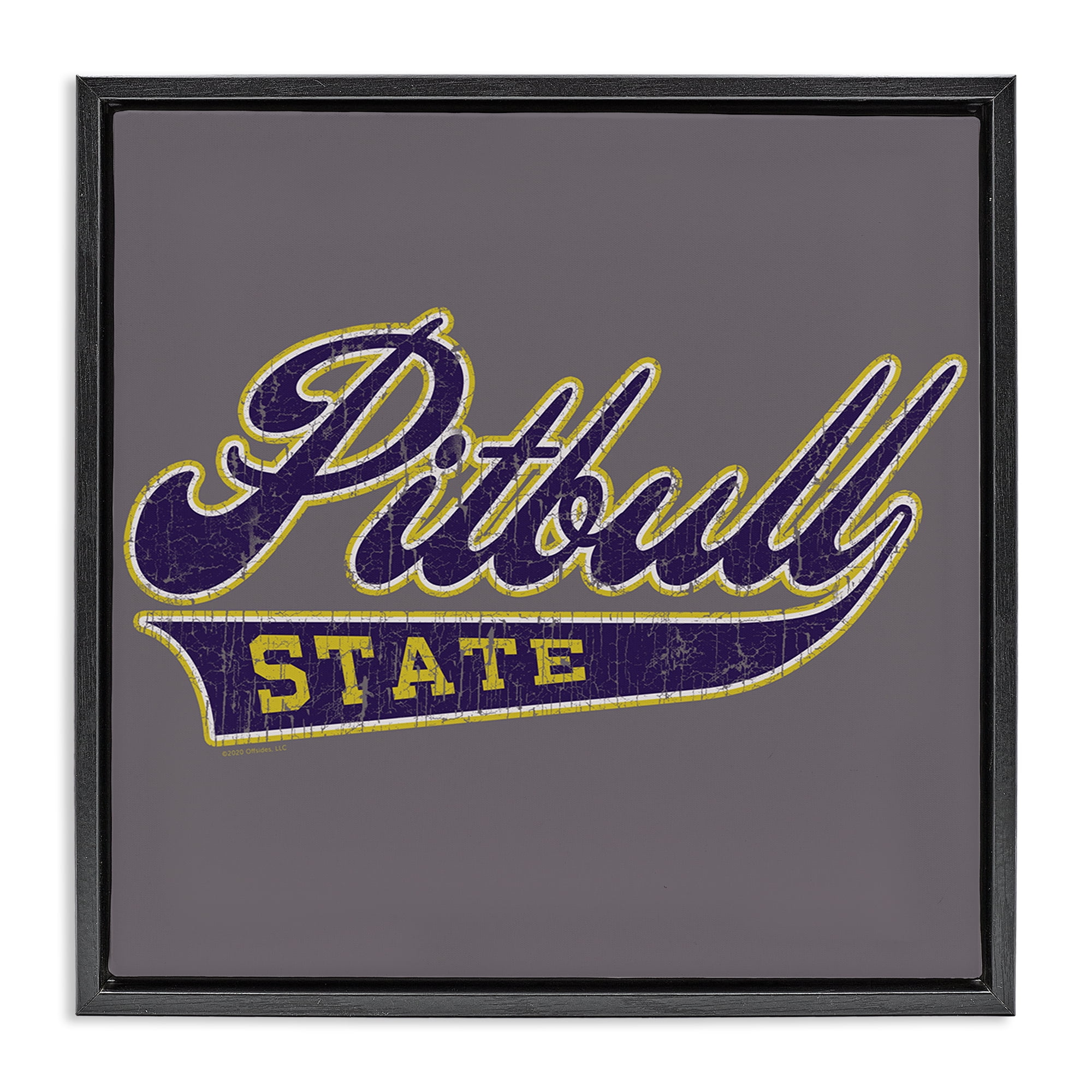 Stupell Industries Varsity Style Pitbull State Novelty & Humor Painting Black Floater Framed Canvas Art Print Wall Art, 18 x 18
