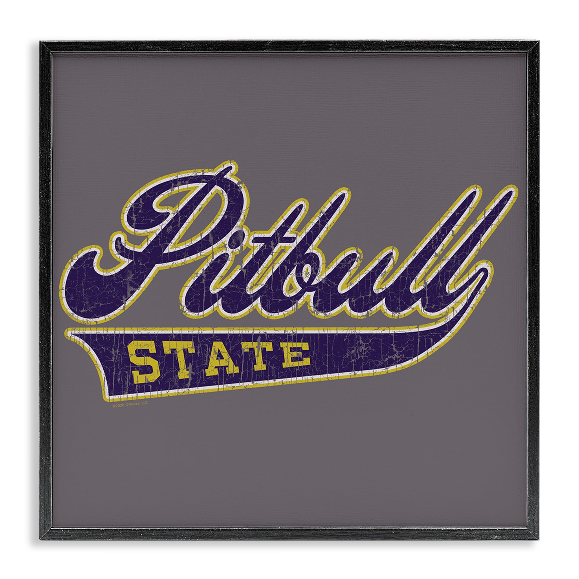 Stupell Industries Varsity Style Pitbull State Novelty & Humor Painting Black Framed Art Print Wall Art, 12 x 12