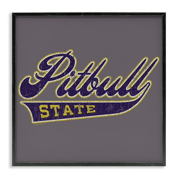 Stupell Industries Varsity Style Pitbull State Novelty & Humor Painting Black Framed Art Print Wall Art, 12 x 12