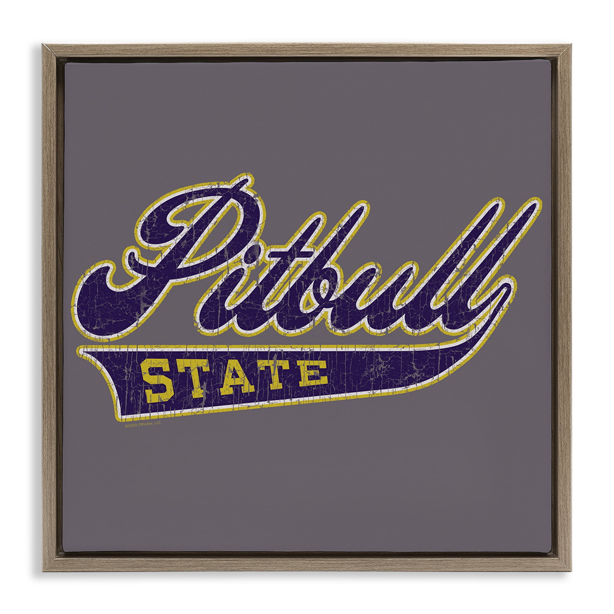 Stupell Industries Varsity Style Pitbull State Novelty & Humor Painting Brown Floater Framed Canvas Art Print Wall Art, 18 x 18