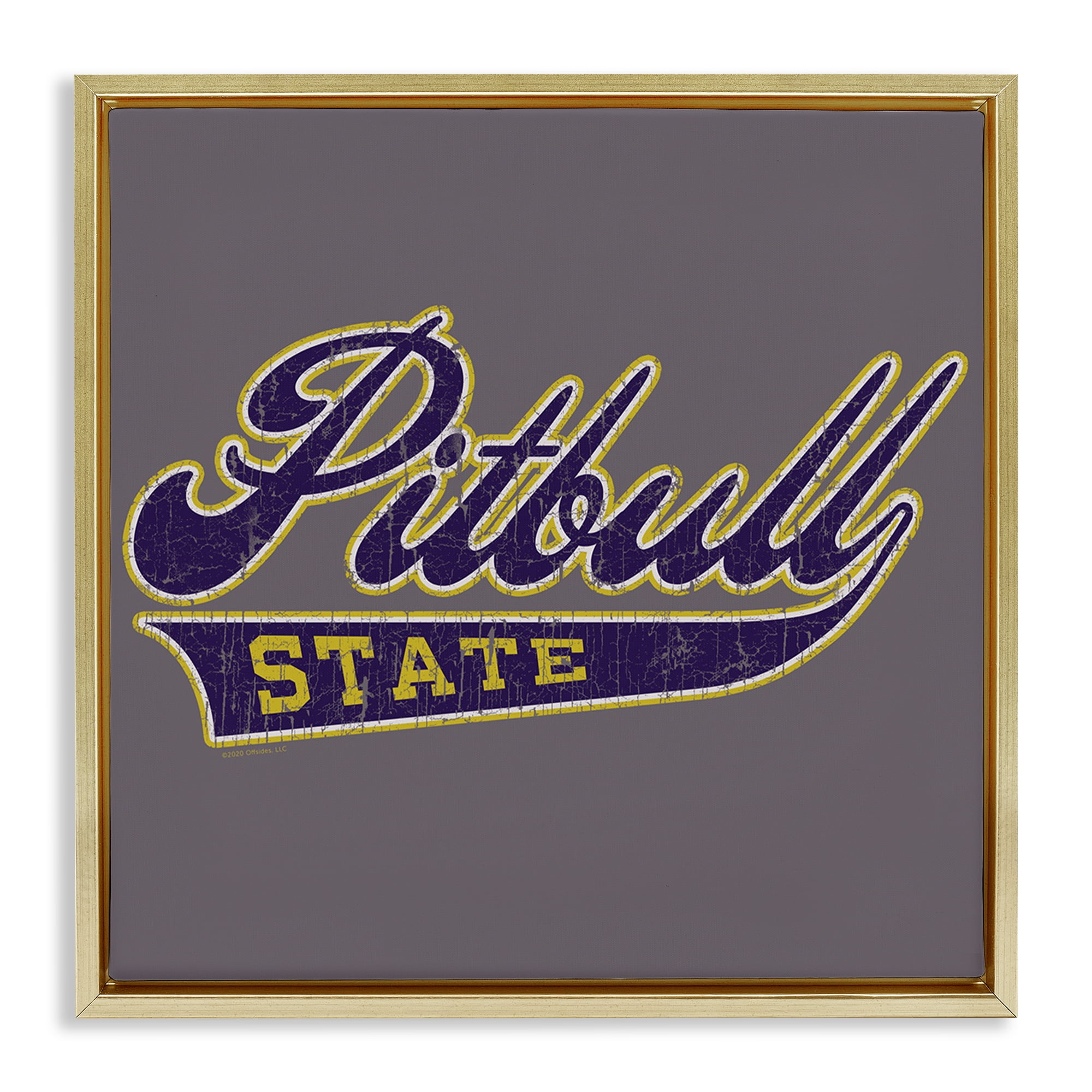 Stupell Industries Varsity Style Pitbull State Novelty & Humor Painting Gold Floater Framed Canvas Art Print Wall Art, 25 x 25