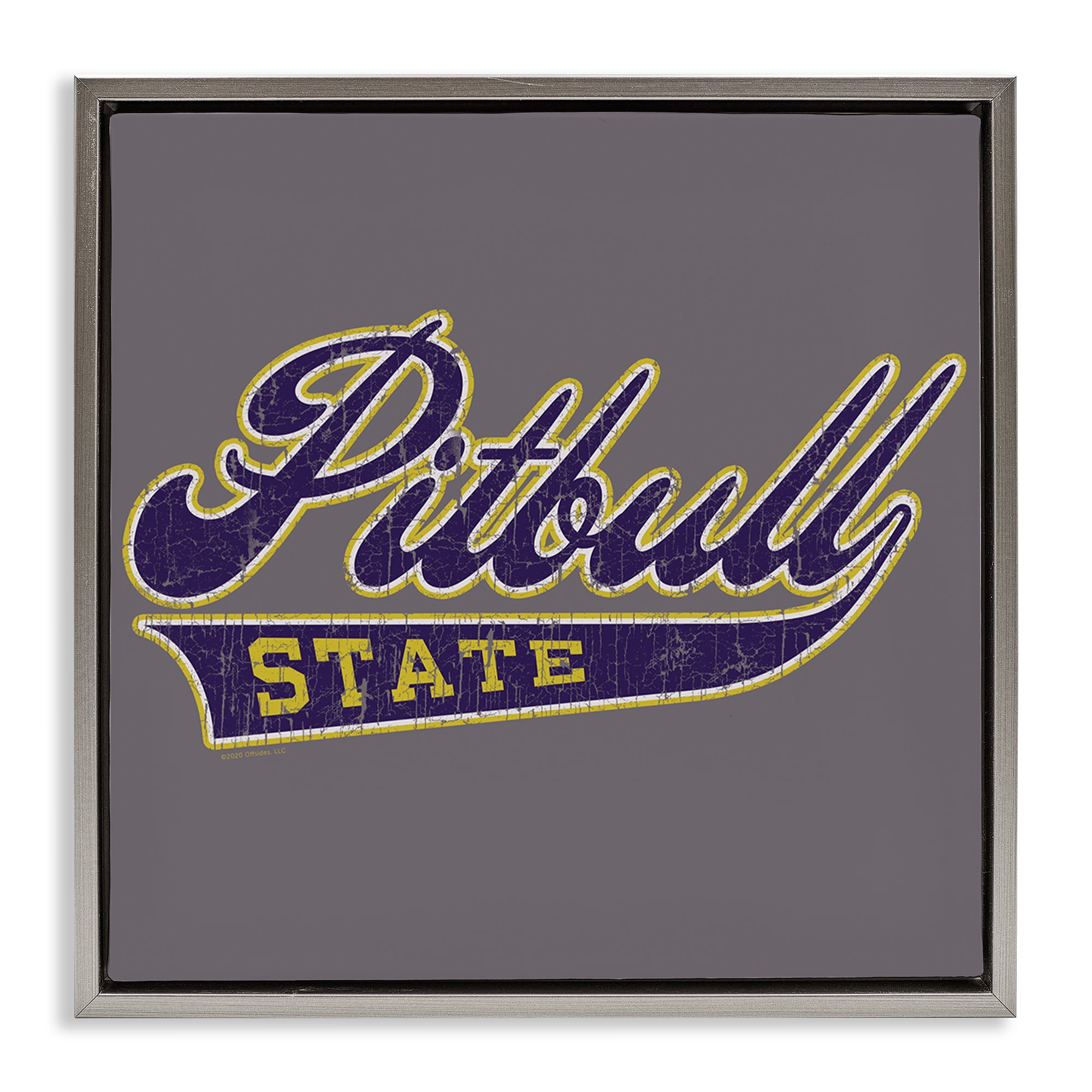 Stupell Industries Varsity Style Pitbull State Novelty & Humor Painting Gray Floater Framed Canvas Art Print Wall Art, 18 x 18