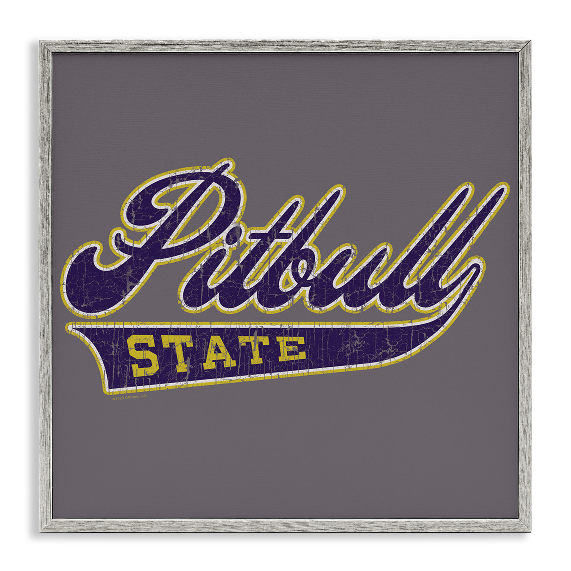 Stupell Industries Varsity Style Pitbull State Novelty & Humor Painting Gray Framed Art Print Wall Art, 12 x 12