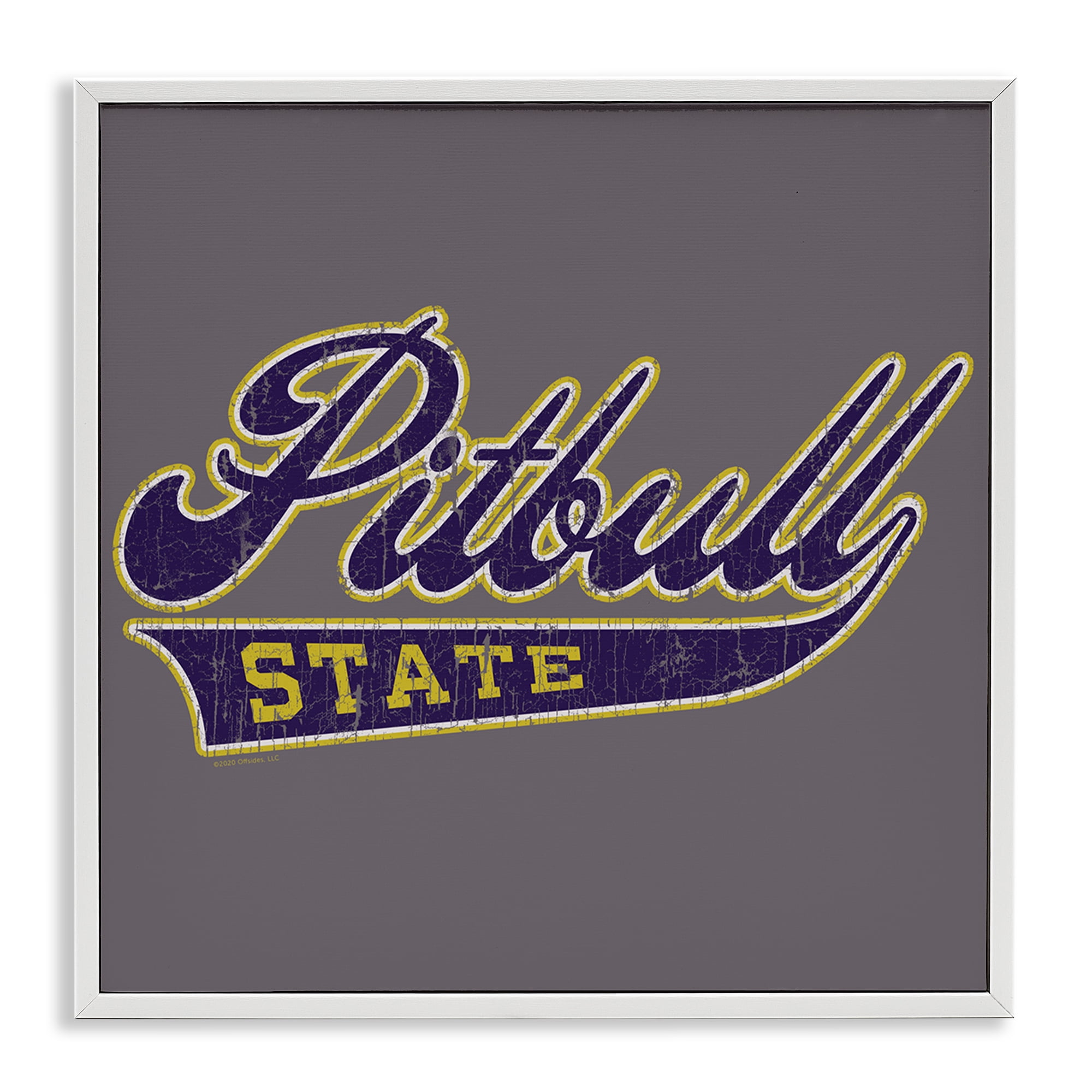 Stupell Industries Varsity Style Pitbull State Novelty & Humor Painting White Framed Art Print Wall Art, 24 x 24