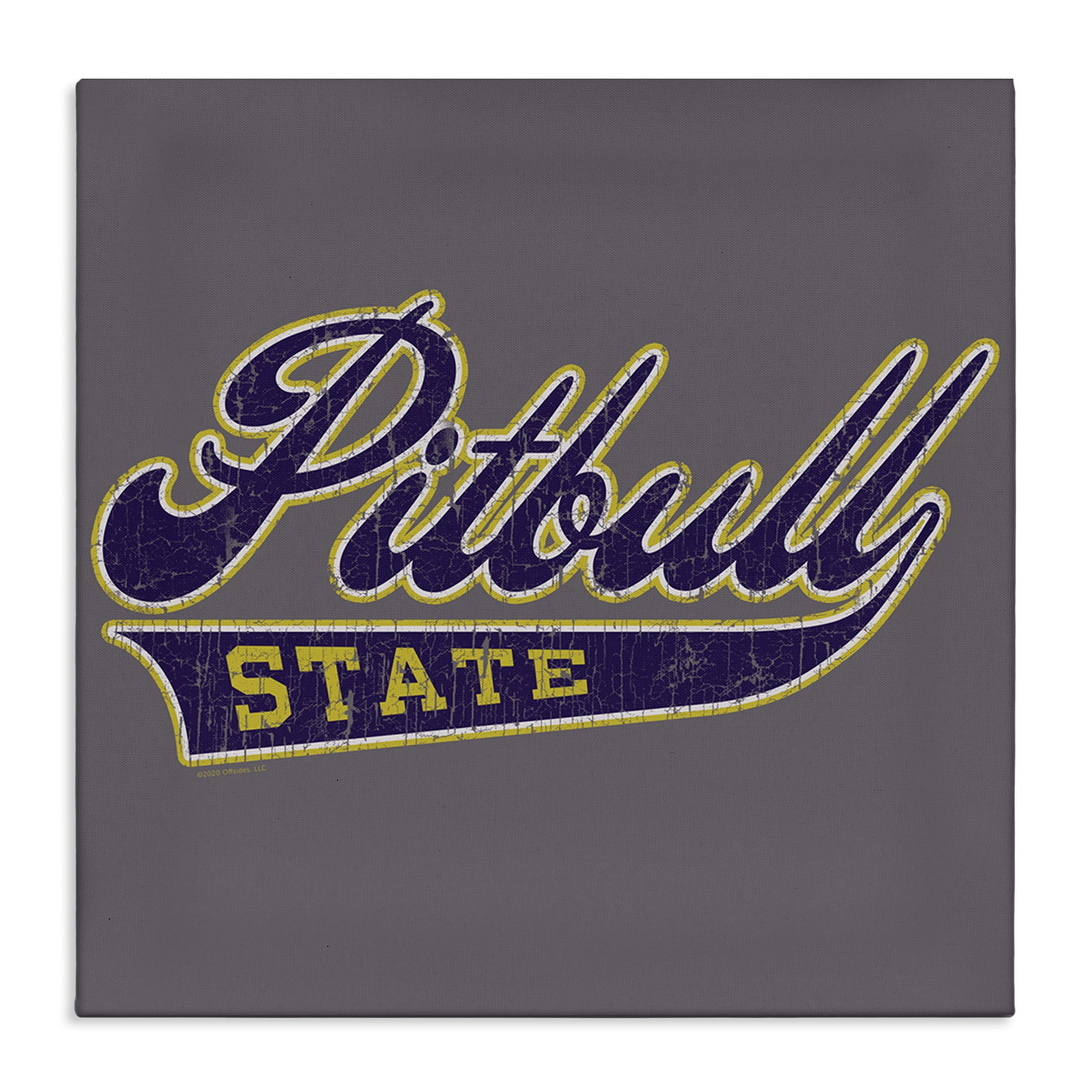 Stupell Industries Varsity Style Pitbull State Novelty & Humor Painting Wrapped Canvas Art Print Wall Art, 17 x 17