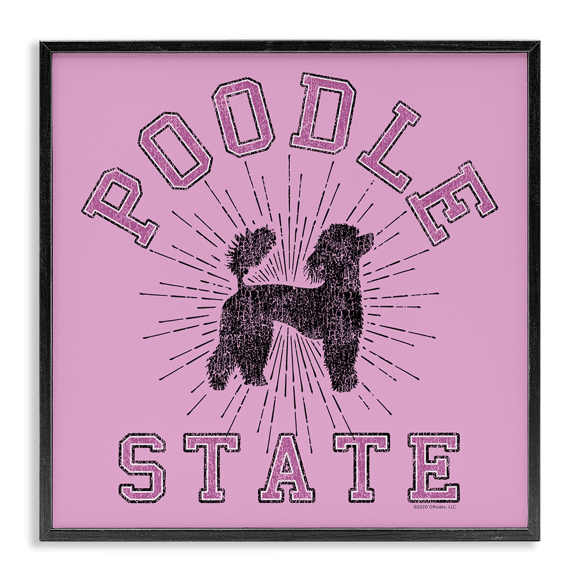 Stupell Industries Varsity Style Poodle State Novelty & Humor Painting Black Framed Art Print Wall Art, 12 x 12