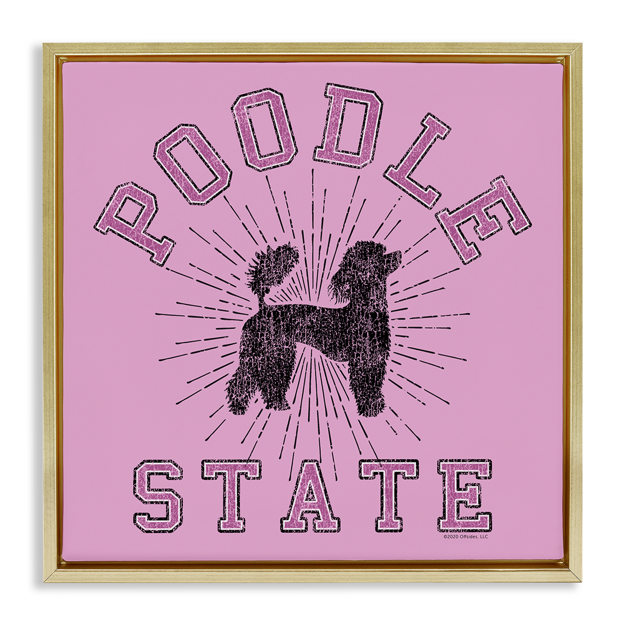 Stupell Industries Varsity Style Poodle State Novelty & Humor Painting Gold Floater Framed Canvas Art Print Wall Art, 18 x 18
