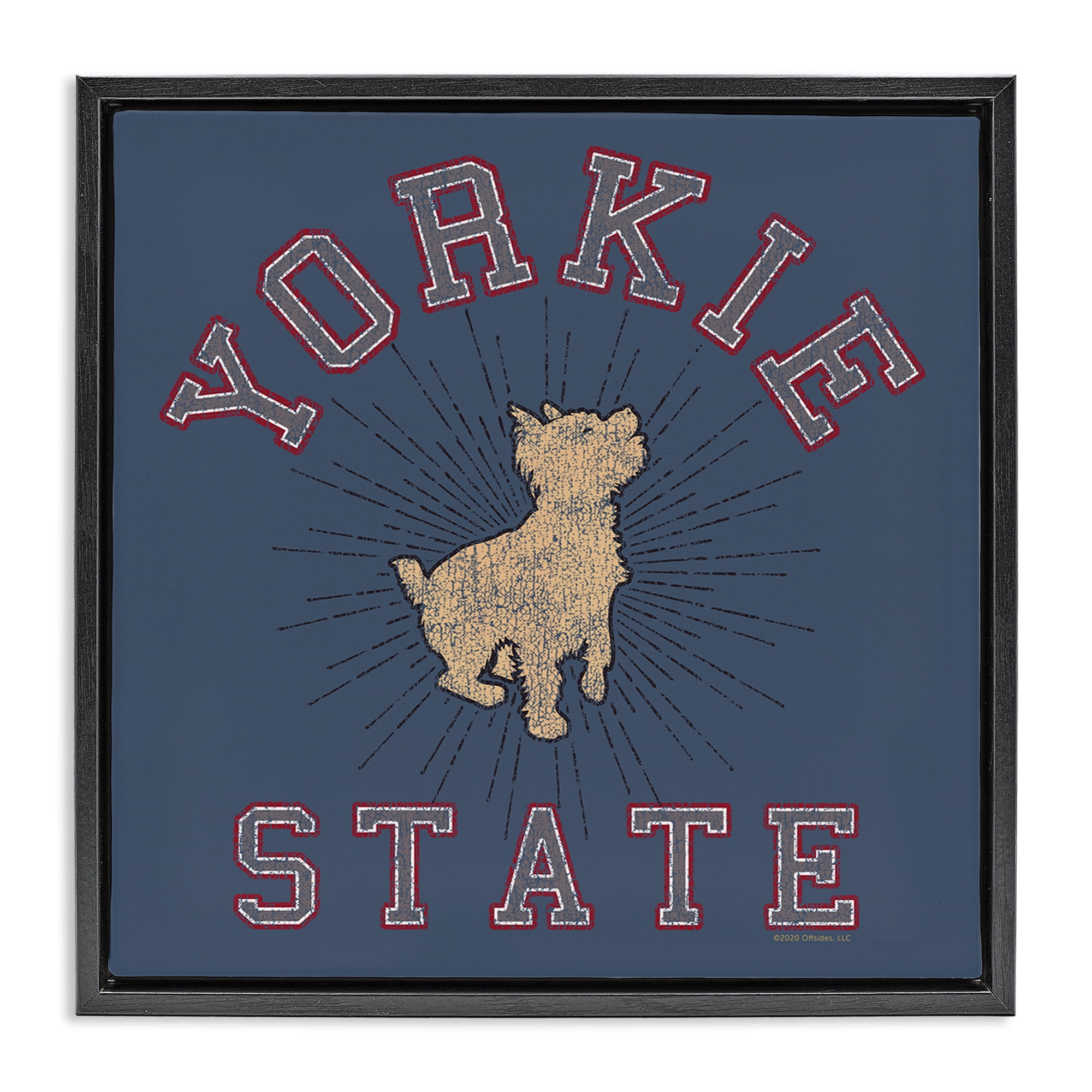 Stupell Industries Varsity Yorkie State Novelty & Humor Painting Black Floater Framed Canvas Art Print Wall Art, 25 x 25