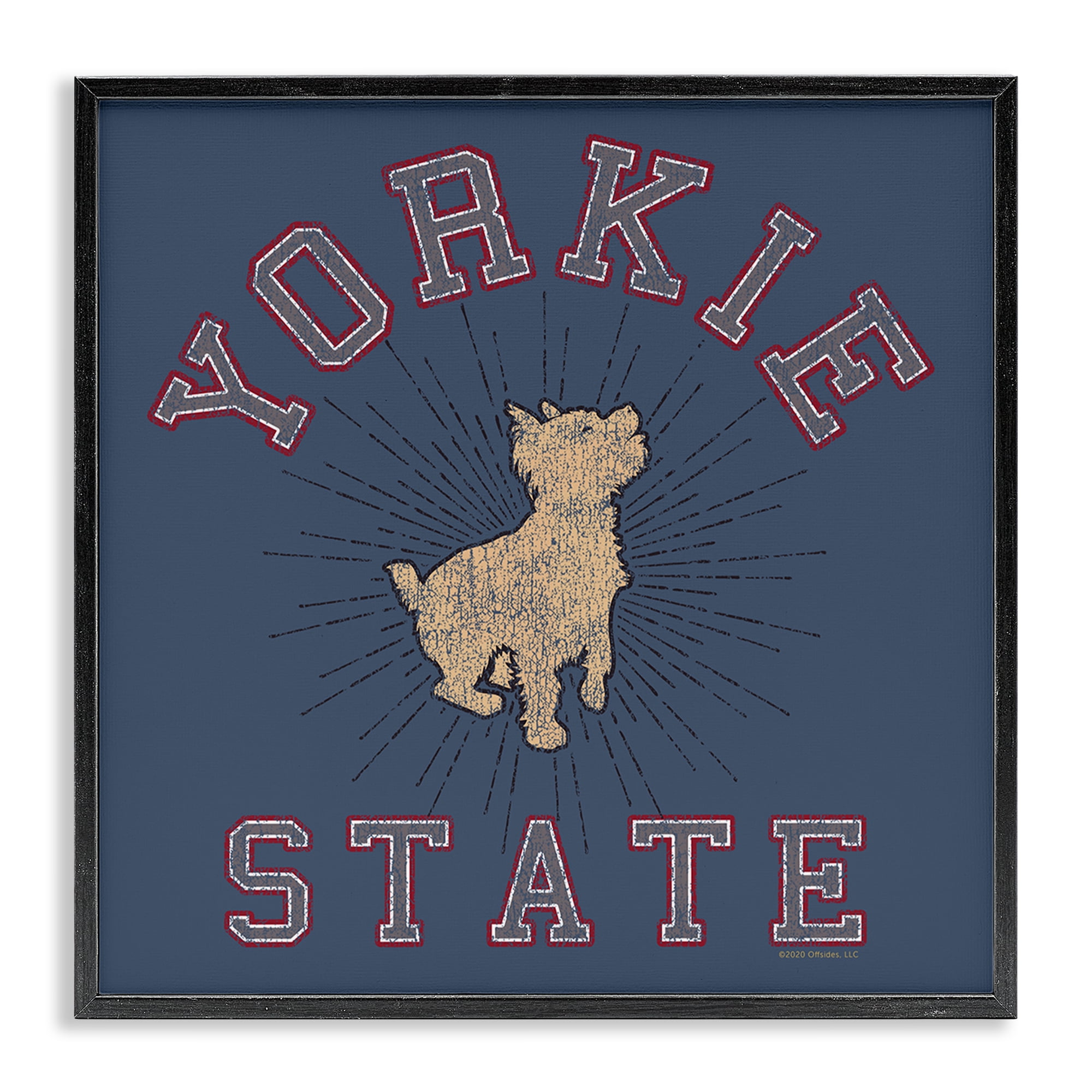 Stupell Industries Varsity Yorkie State Novelty & Humor Painting Black Framed Art Print Wall Art, 24 x 24