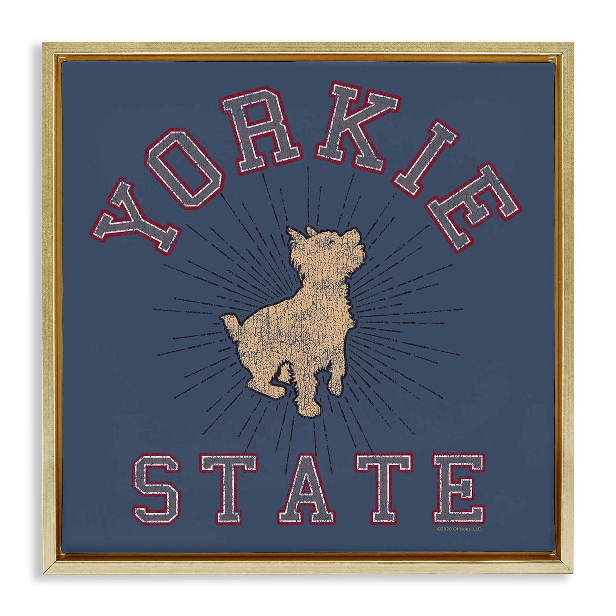 Stupell Industries Varsity Yorkie State Novelty & Humor Painting Gold Floater Framed Canvas Art Print Wall Art, 25 x 25