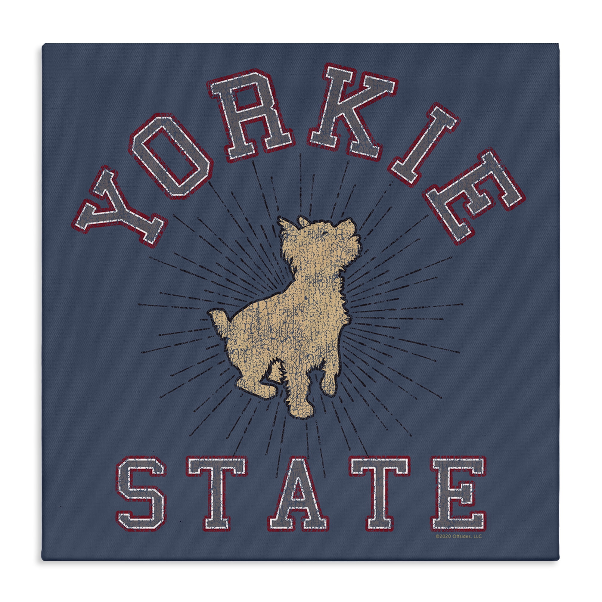 Stupell Industries Varsity Yorkie State Novelty & Humor Painting Wrapped Canvas Art Print Wall Art, 24 x 24