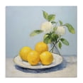 thumbnail image 1 of Stupell Industries Modern Vase of Flowers and Lemons Canvas Art, 17 x 17, by Creative Studio, 1 of 8