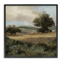 Stupell Industries Vast Country Terrain Landscape & Nature Painting Black Framed Art Print Wall Art, 12 x 12