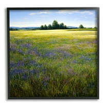 Stupell Industries Vast Meadow Landscape Landscape Painting Black Framed Art Print Wall Art, 12 x 12