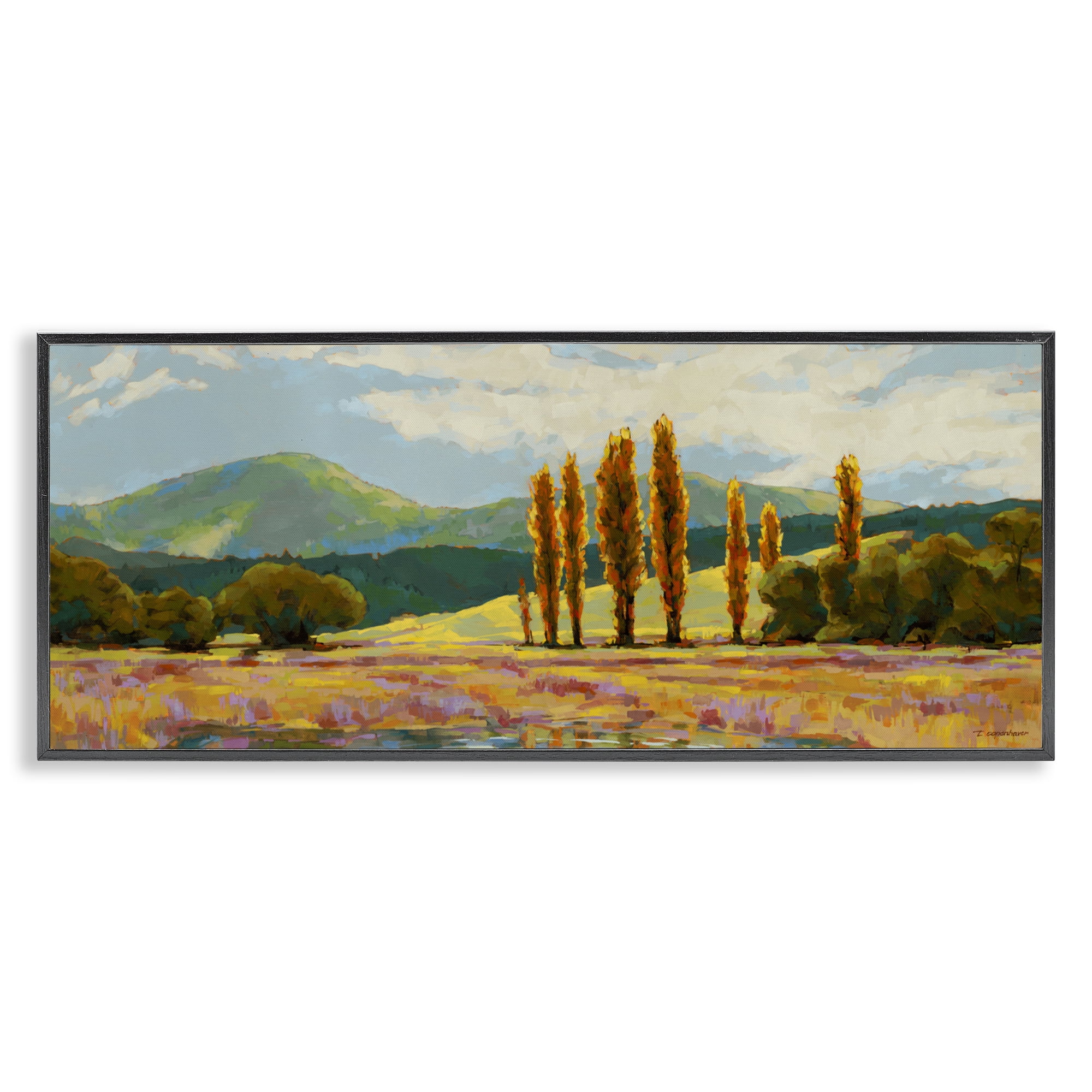 Stupell Industries Vast Subdued Countryside Black Framed Giclee Art, design by Trevor Copenhaver