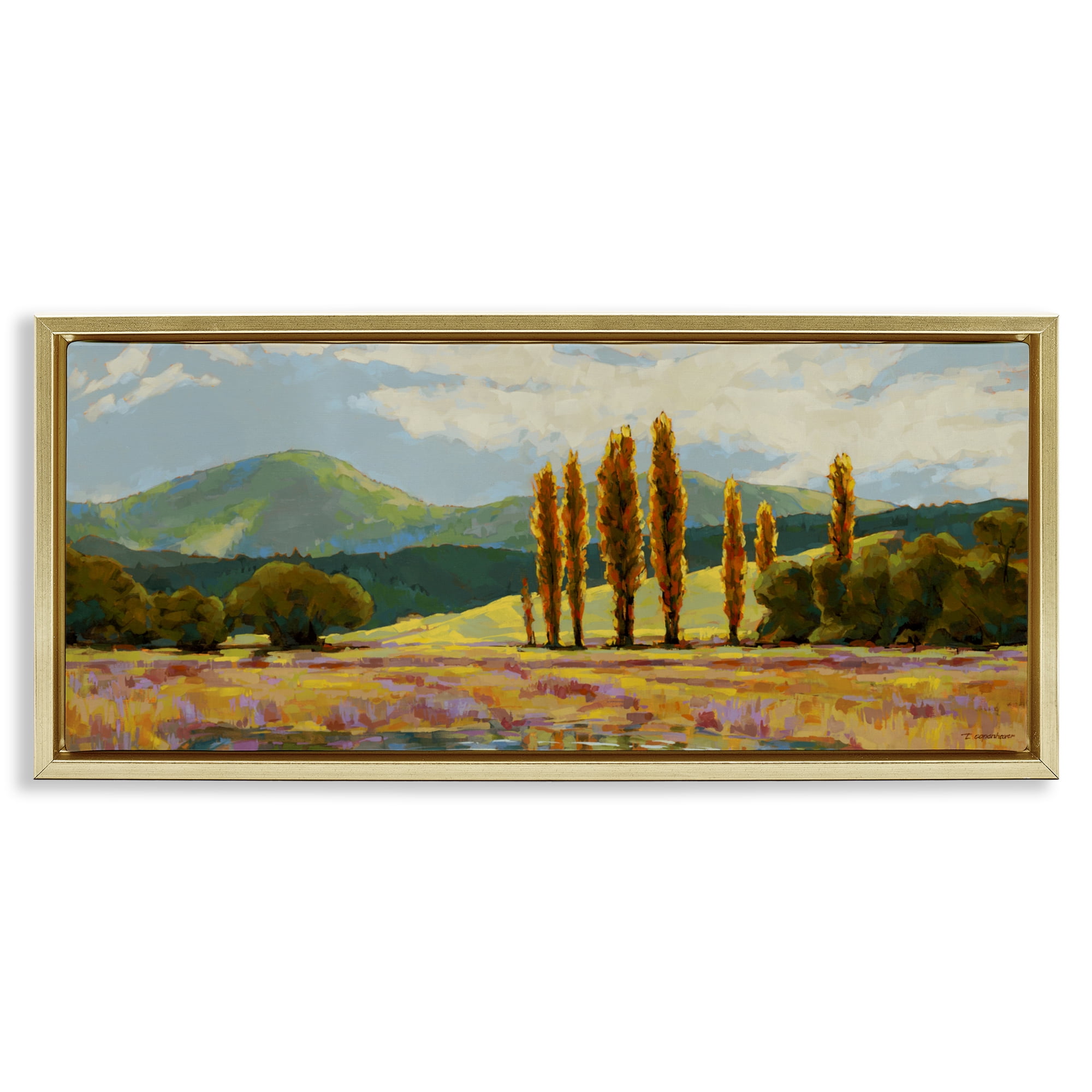 Stupell Industries Vast Subdued Countryside Gold Framed Floater Canvas Wall Art, design by Trevor Copenhaver
