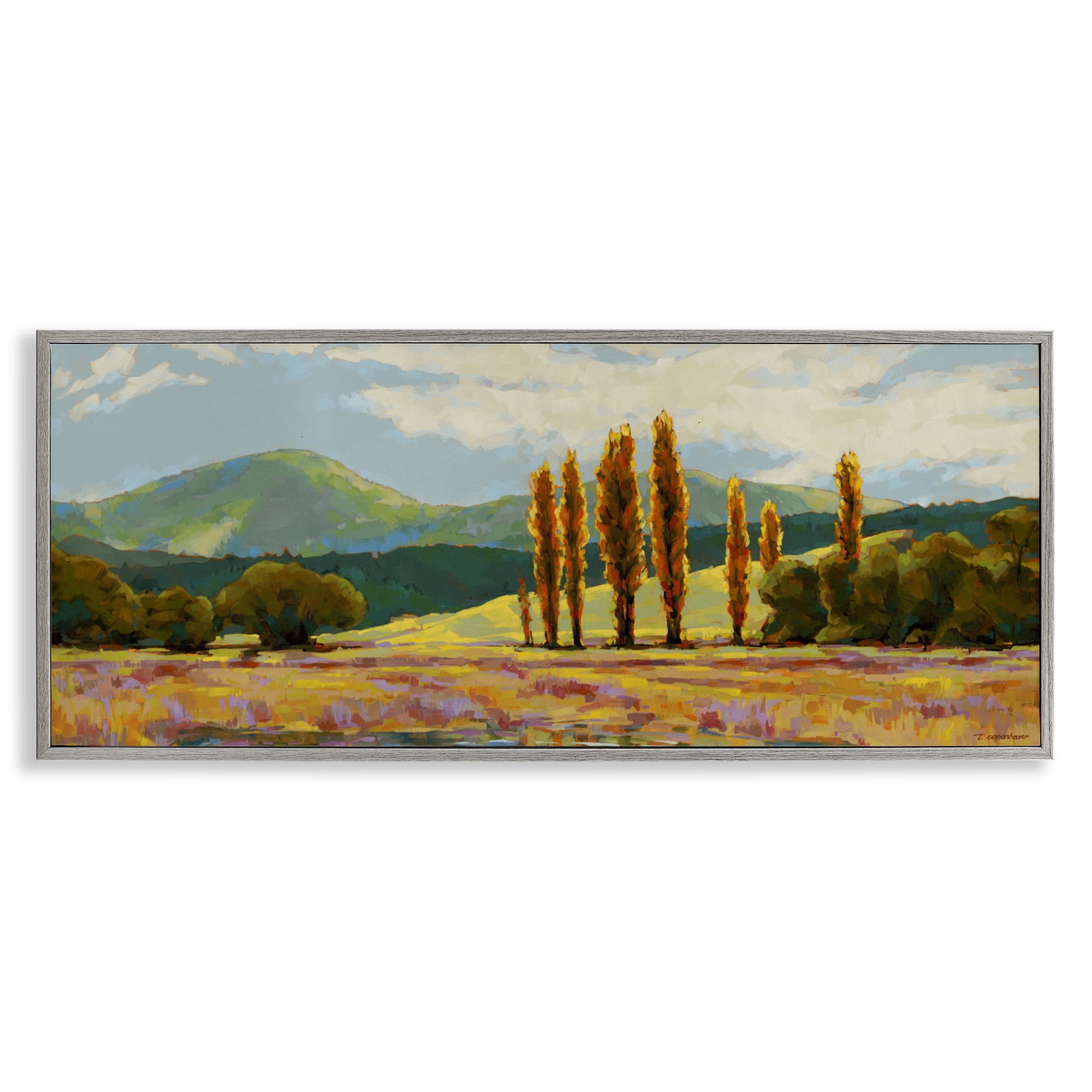 Stupell Industries Vast Subdued Countryside Gray Framed Giclee Art, design by Trevor Copenhaver