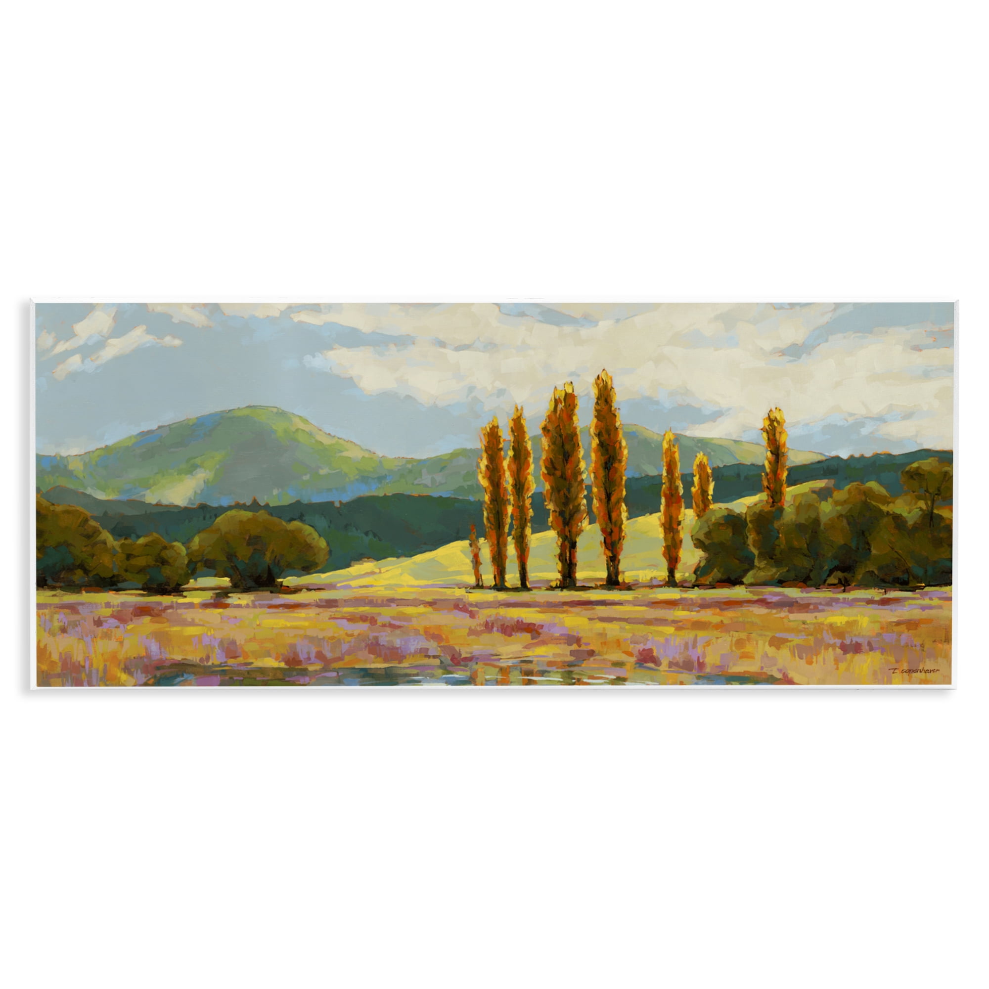 Stupell Industries Vast Subdued Countryside Wall Plaque Art, design by Trevor Copenhaver