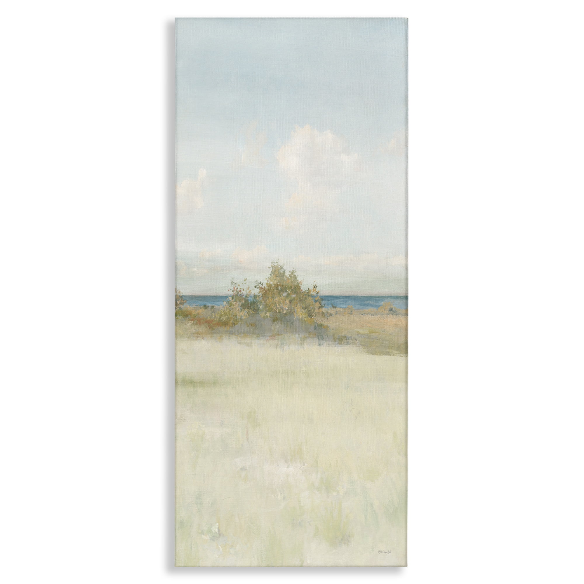 Stupell Industries Vegetation on Beach Landscape Painting Gallery Wrapped Canvas Art Print Wall Art, 20 x 48
