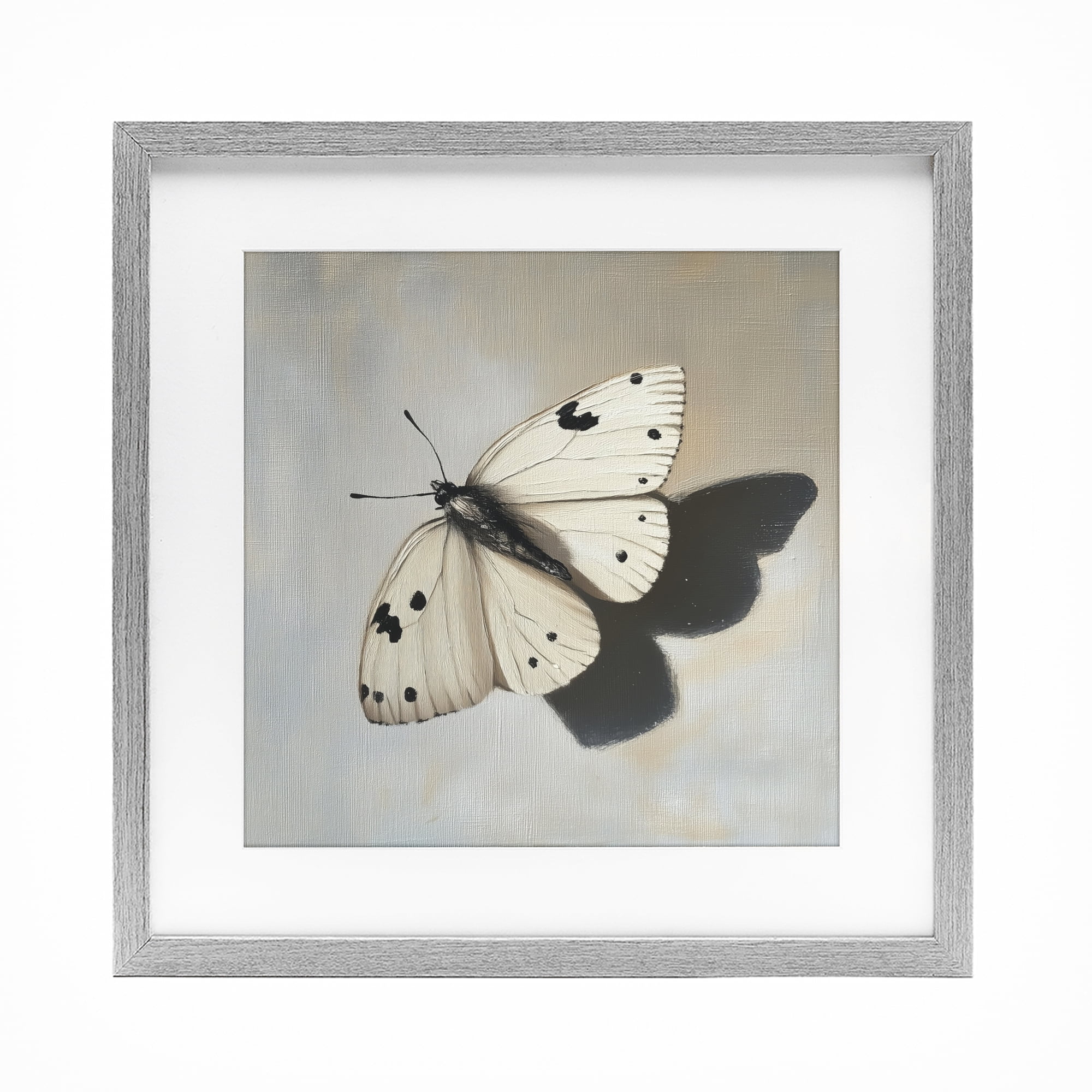 Stupell Industries Velvet's Butterfly Wings Gray Framed Print Under Glass, design by Svetlana Aleynikova