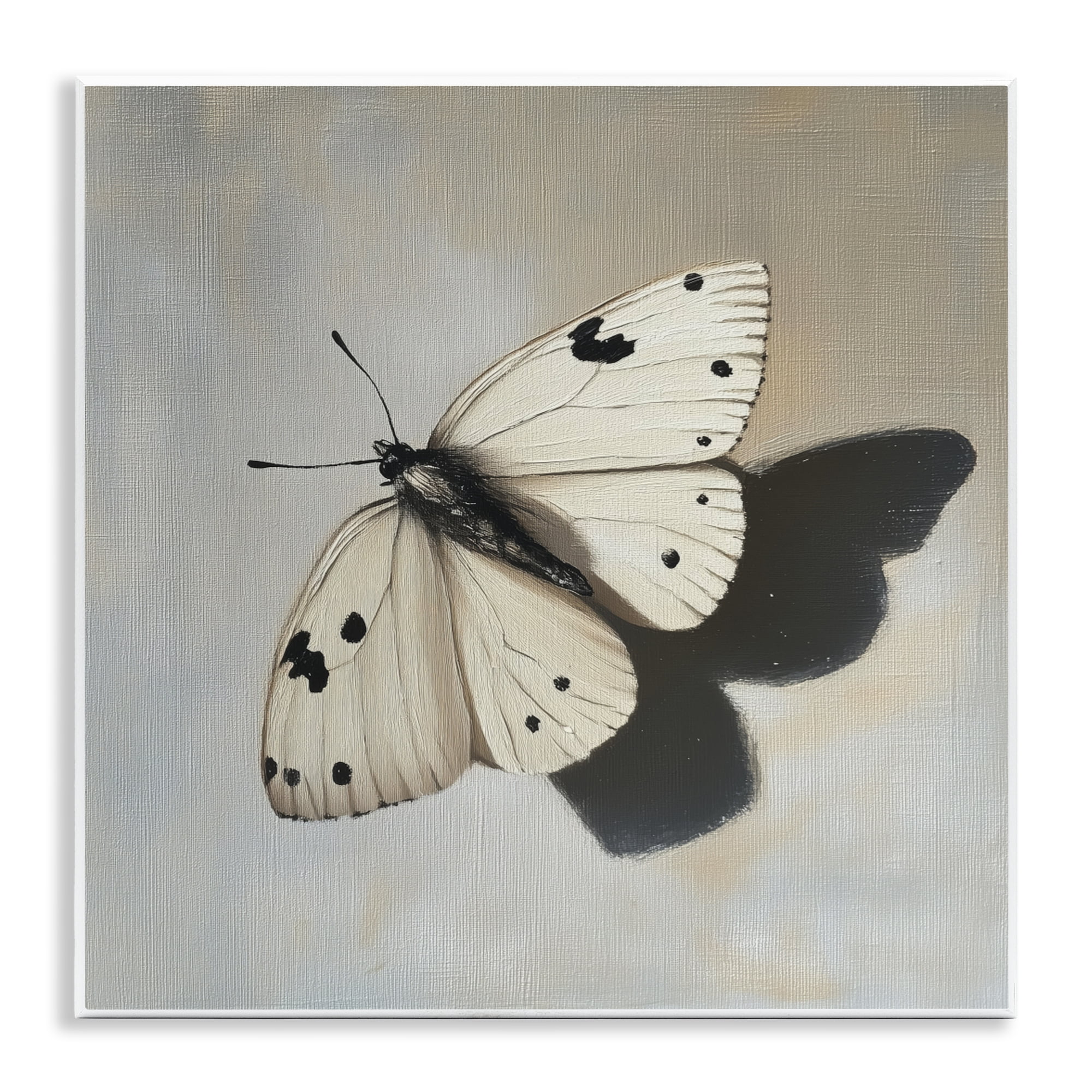 Stupell Industries Velvet's Butterfly Wings Wall Plaque Art, design by Svetlana Aleynikova
