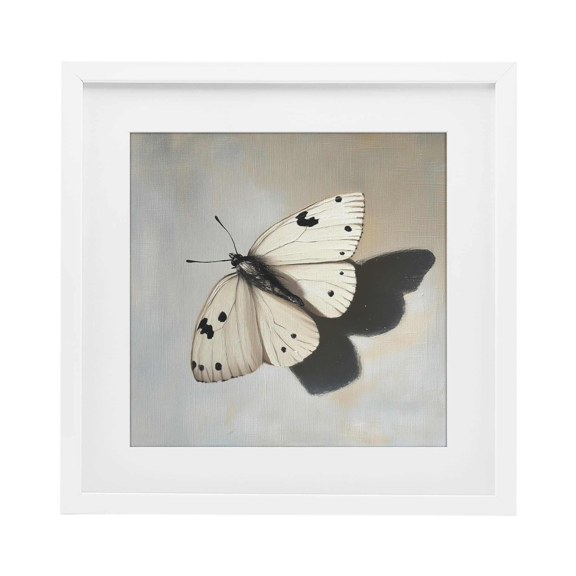 Stupell Industries Velvet's Butterfly Wings White Framed Print Under Glass, design by Svetlana Aleynikova