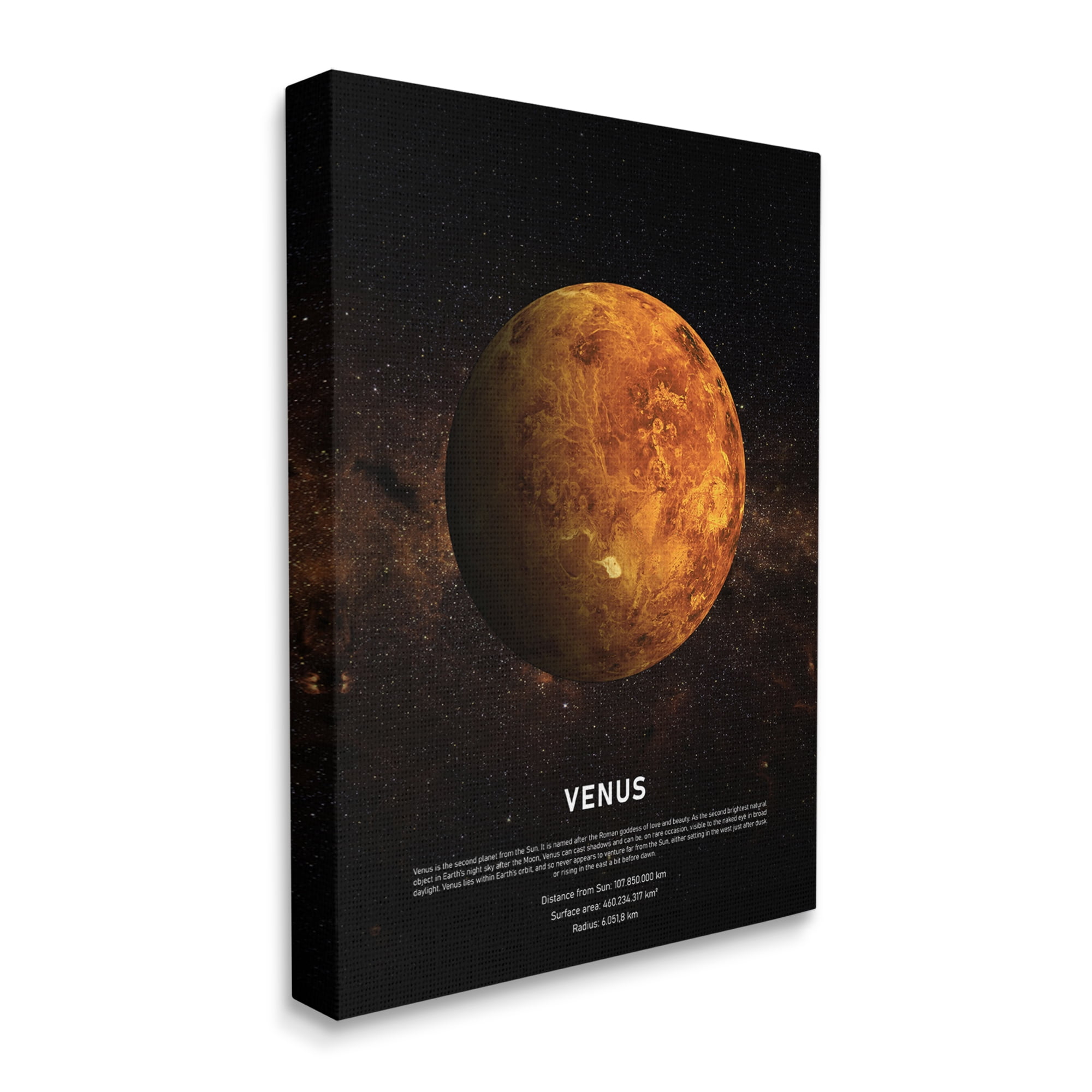 Stupell Industries Venus Planet Infographic Milky Way Astrological Facts, 36 x 48, Designed by Design Fabrikken