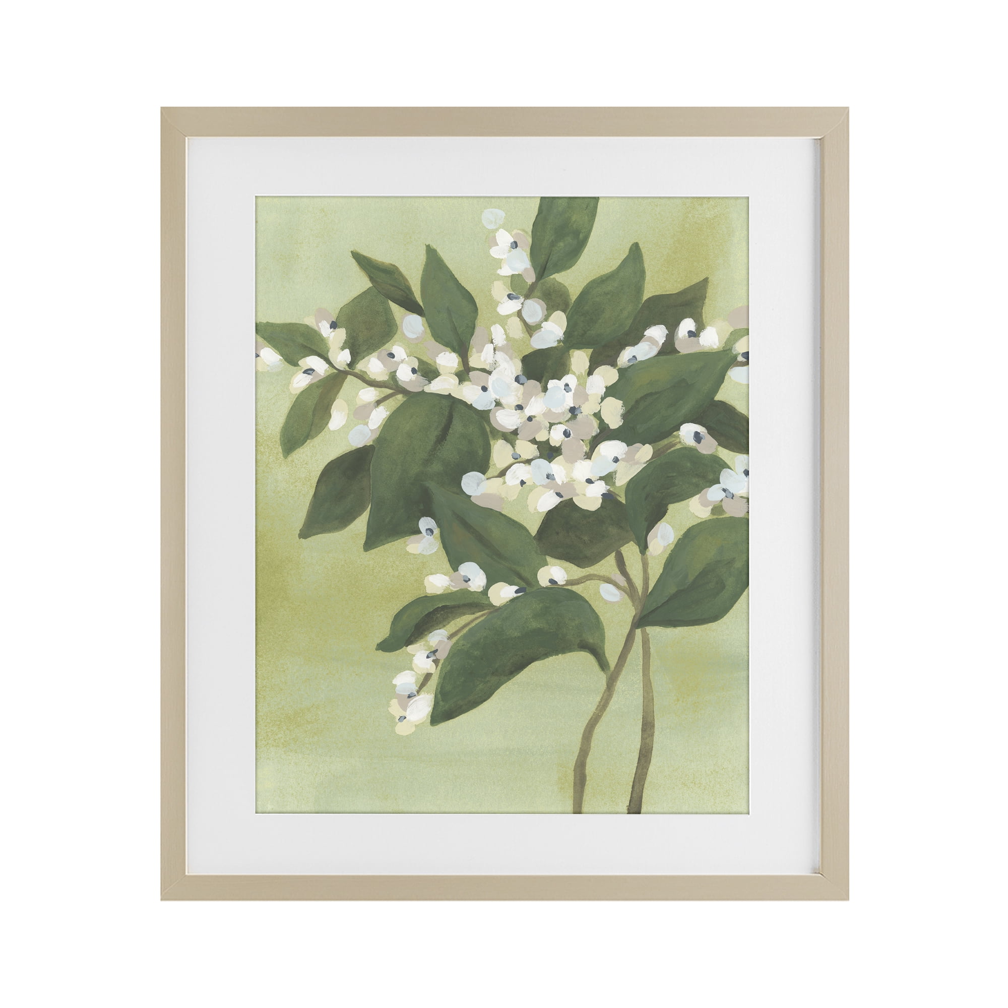 Stupell Industries Verdant Branch Bloom Birch Framed Print Under Glass, design by June Erica Vess