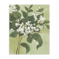 thumbnail image 1 of Stupell Industries Rustic Lodge Verdant Branch Blossoms Canvas Art, 16 x 20, by June Erica Vess, 1 of 8