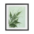 thumbnail image 1 of Stupell Industries Transitional Verdant Lily Of Valley Black Framed Print Under Glass, 13 x 16, by Grace Popp, 1 of 8
