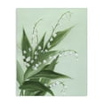 thumbnail image 1 of Stupell Industries Transitional Verdant Lily Of Valley Canvas Art, 16 x 20, by Grace Popp, 1 of 8