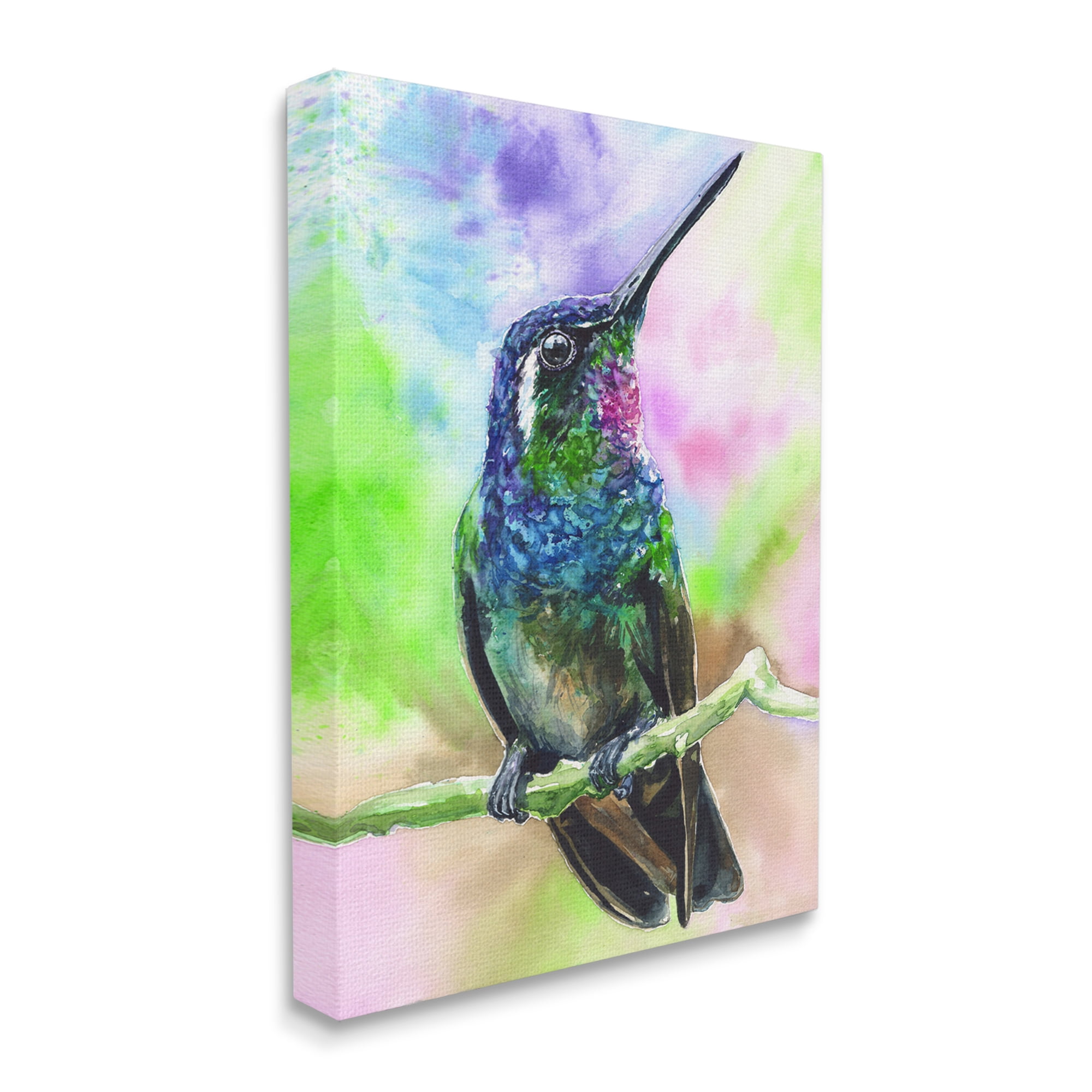 Stupell Industries Vibrant Hummingbird Perched Soft Tie-Dye Canvas Wall Art, 16 x 20, Design by George Dyachenko