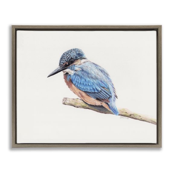 Vibrant Kingfisher on Branch Brown Floating Frame Canvas Art, 31 x 25, Made In USA