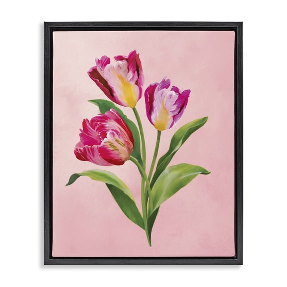 Stupell Industries French Country Vibrant Magenta Tulips Black Floating Frame Canvas Art, 25 x 31, by Diane Neukirch