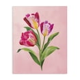 thumbnail image 1 of Stupell Industries French Country Vibrant Magenta Tulips Canvas Art, 30 x 40, by Diane Neukirch, 1 of 8