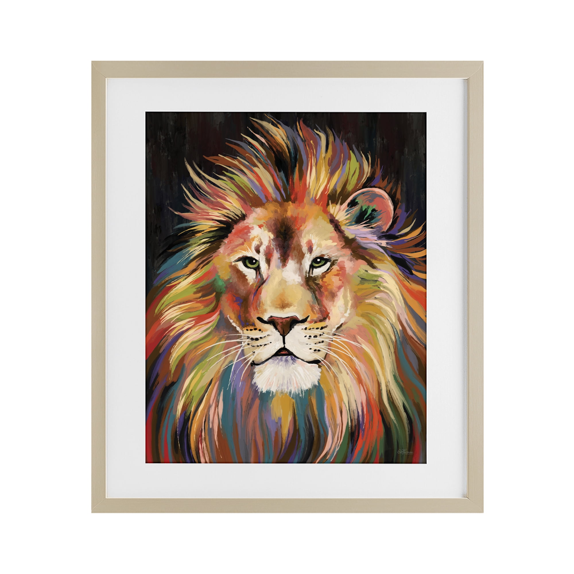 Stupell Industries Vibrant Majestic Rainbow Lion Birch Framed Print Under Glass, design by Cat Thurman Designs