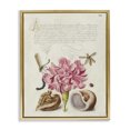 thumbnail image 1 of Stupell Industries Victorian Antique Flower & Snails Gold Floating Frame Canvas Art, 17 x 21, by June Erica Vess, 1 of 8