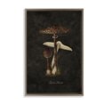 thumbnail image 1 of Stupell Industries Victorian Brown Floating Frame Canvas Art, 21 x 31, by Tina Higgins Designs Inc., 1 of 8