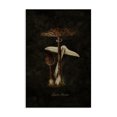 thumbnail image 1 of Stupell Industries Victorian Canvas Art, 24 x 36, by Tina Higgins Designs Inc., 1 of 8