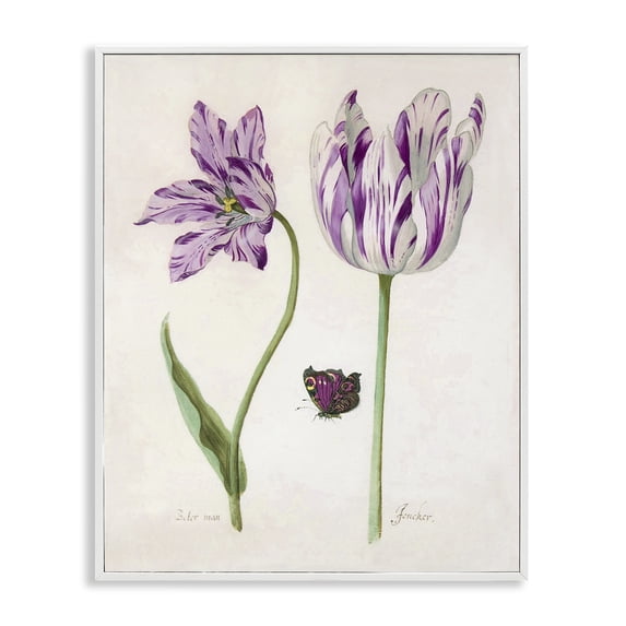 Stupell Industries Victorian Two Tulips Purple Flowers White Framed Giclee Art, 24 x 30, by Jacob Marrel
