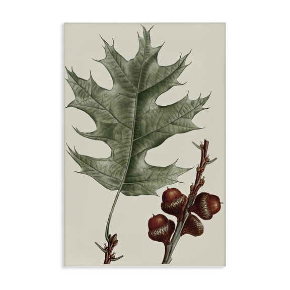 Stupell Industries Victorian Vintage Black Oak Leaf Canvas Art, 30 x 45, by Graffitee Studios